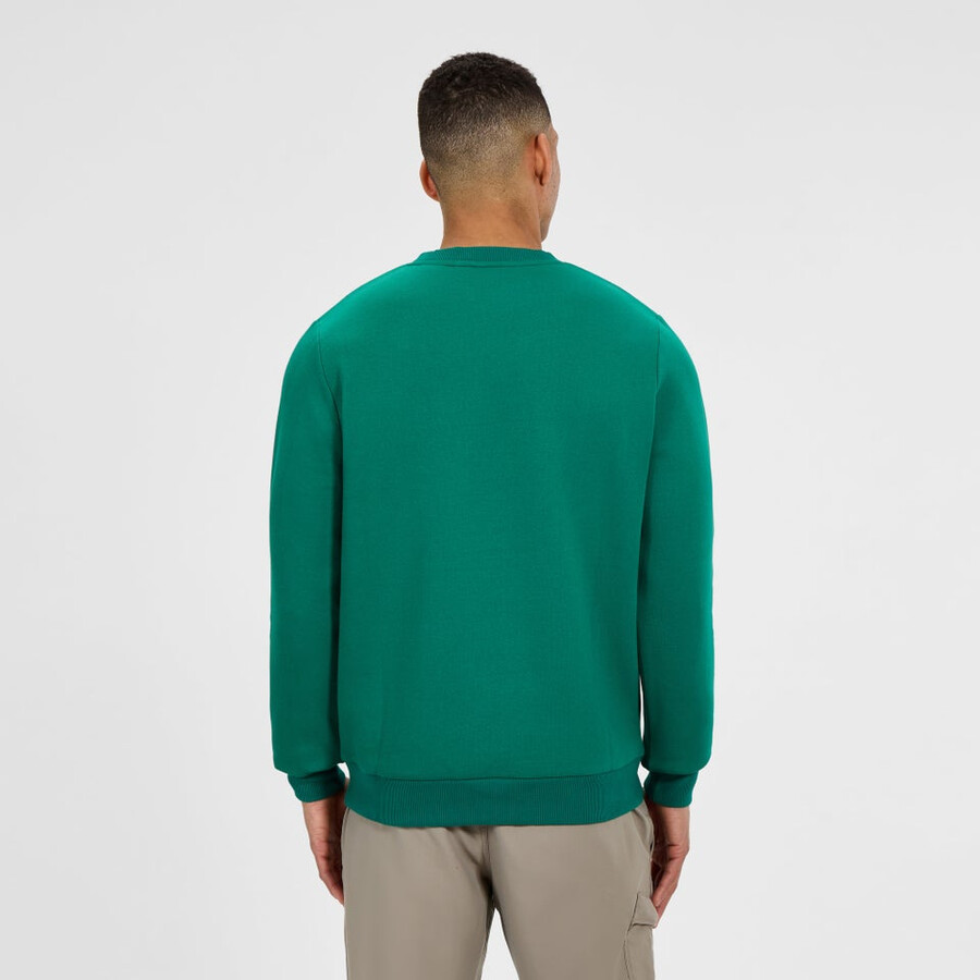 uomo logo crew maglione - verde berghaus